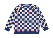 True Blue Comic Book Check Raglan Sweater